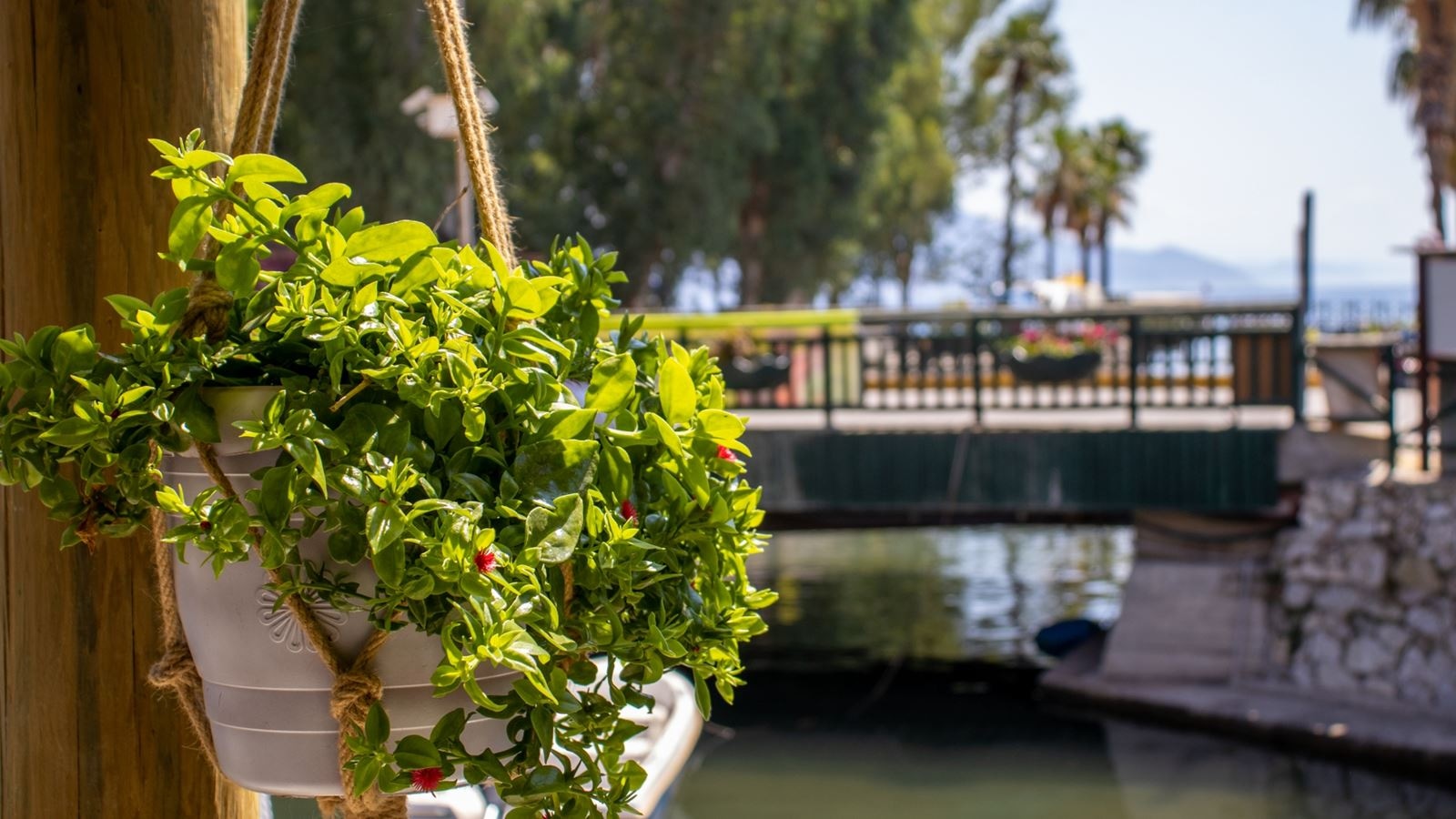 restaurants-restaurant