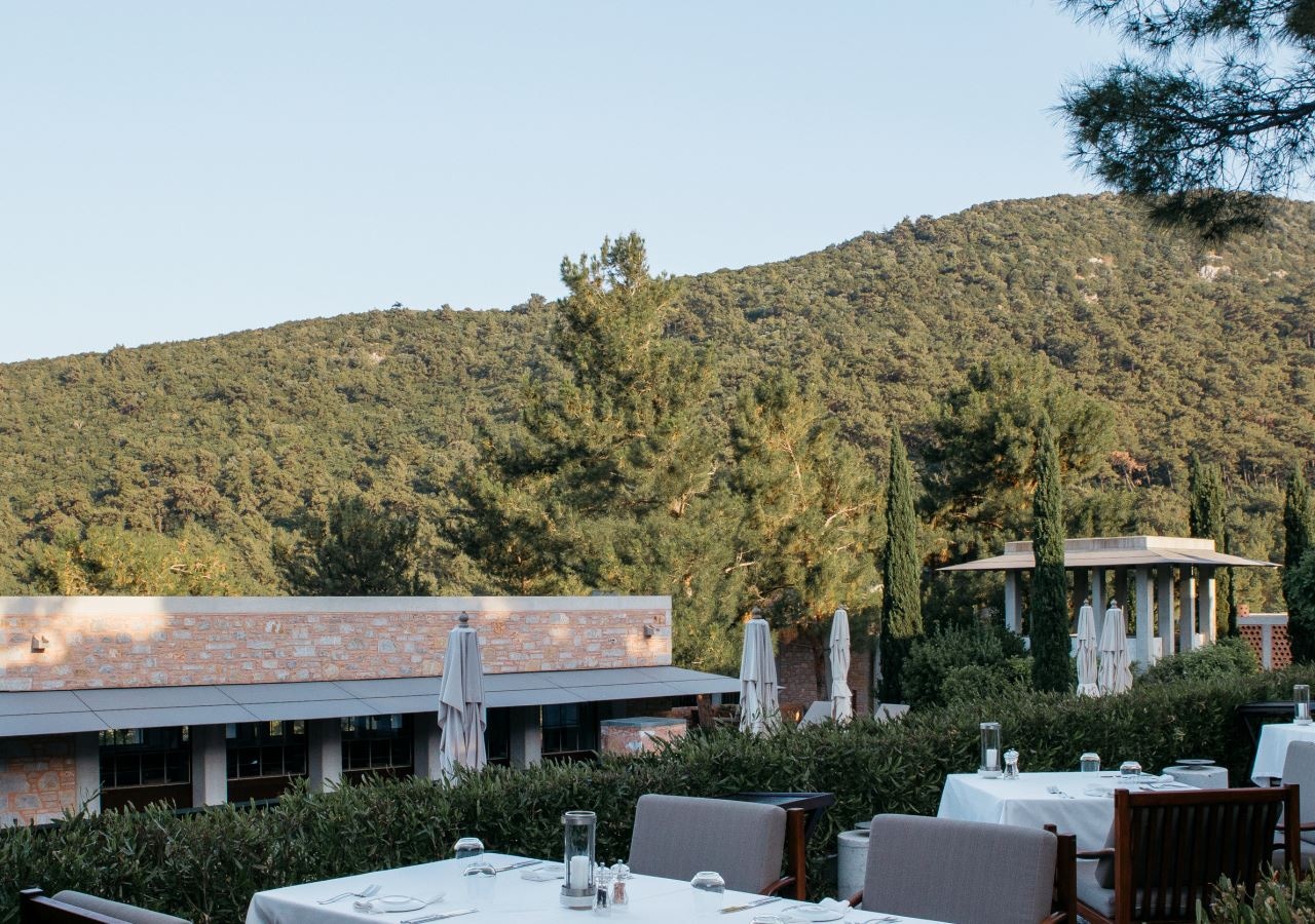 restaurants-main-restaurant