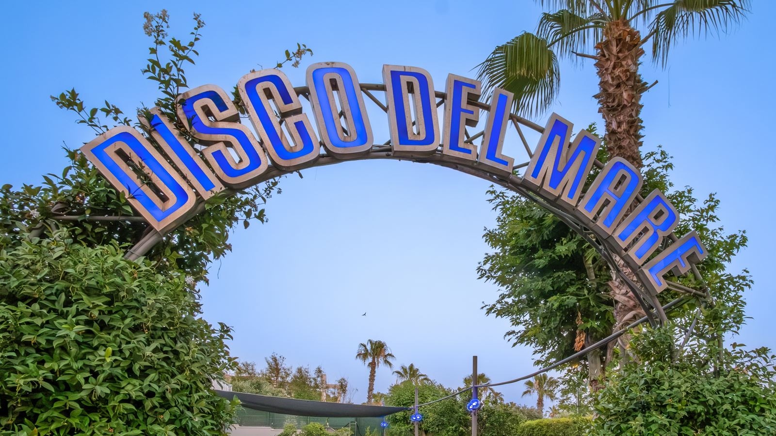 bars-disco-del-mare-bar