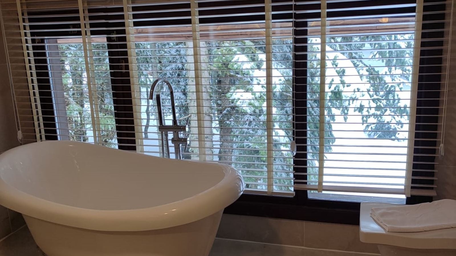 rooms-senior-forest-house