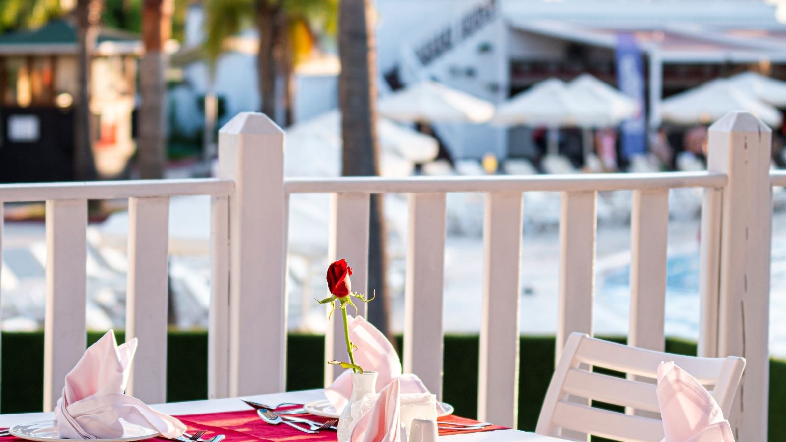 restaurants-ana-restoran