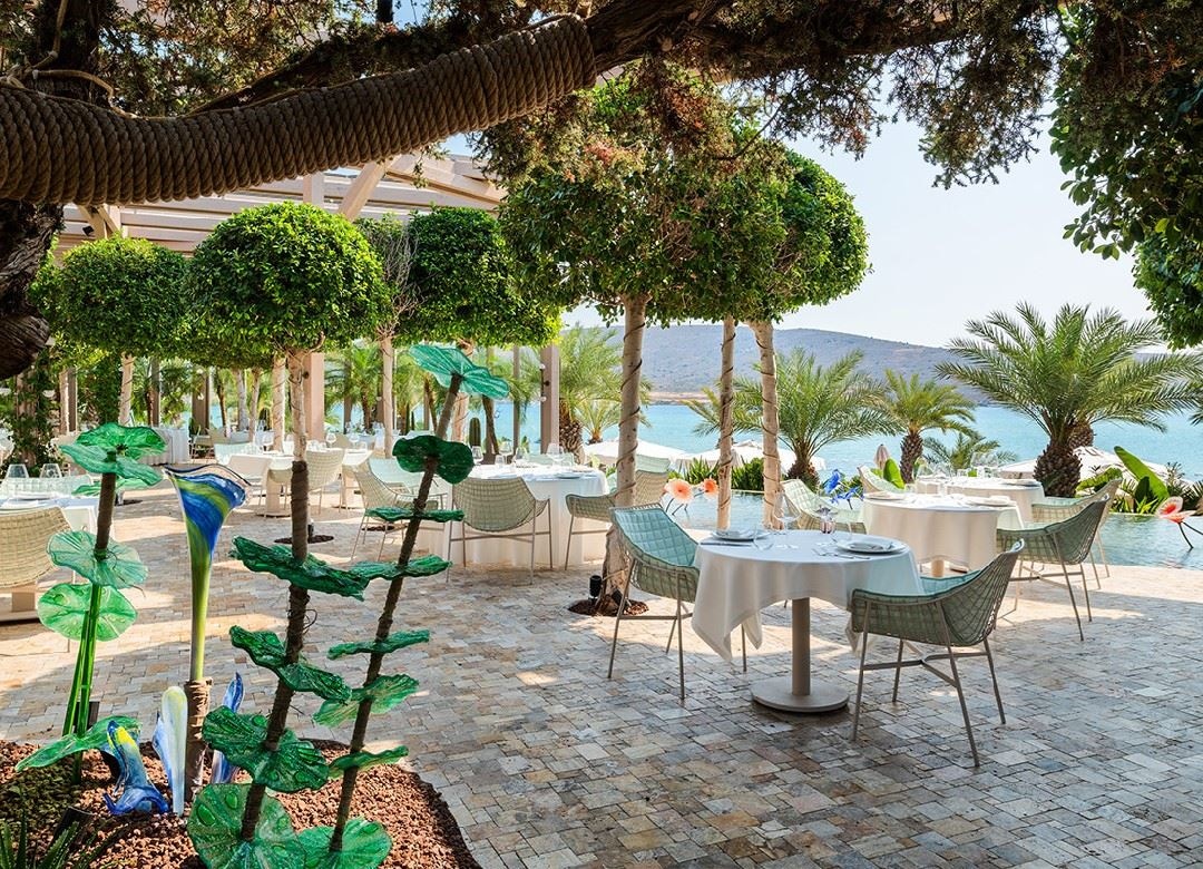 restaurants-miso-sea-food