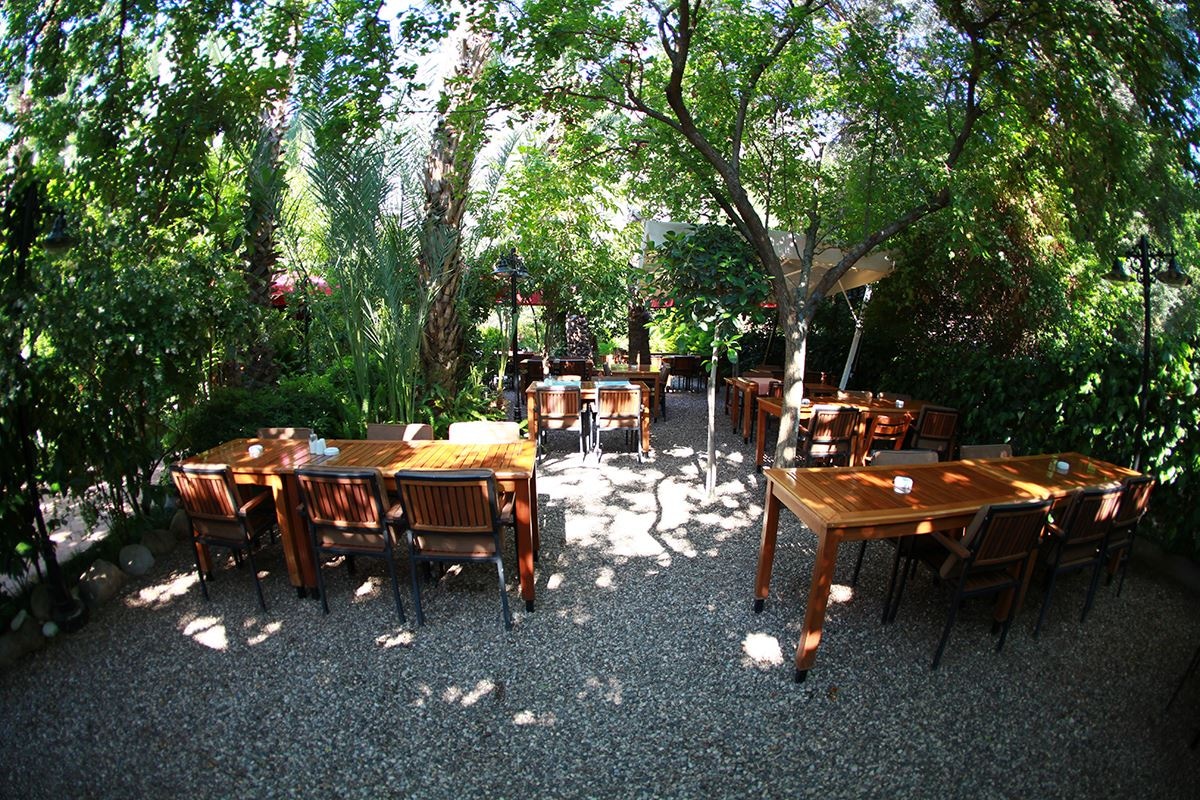 restaurants-restaurants