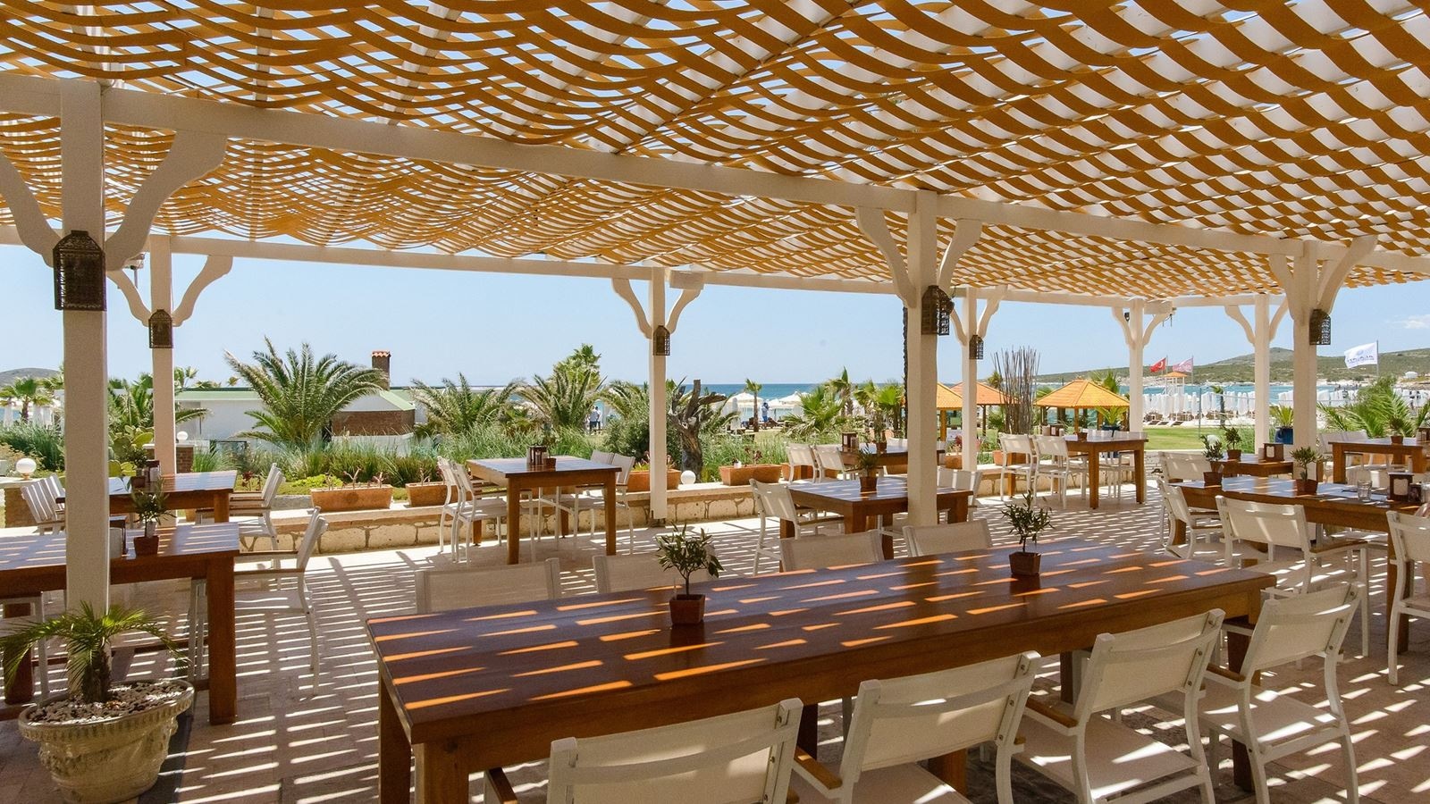 restaurants-sheeba-restoran