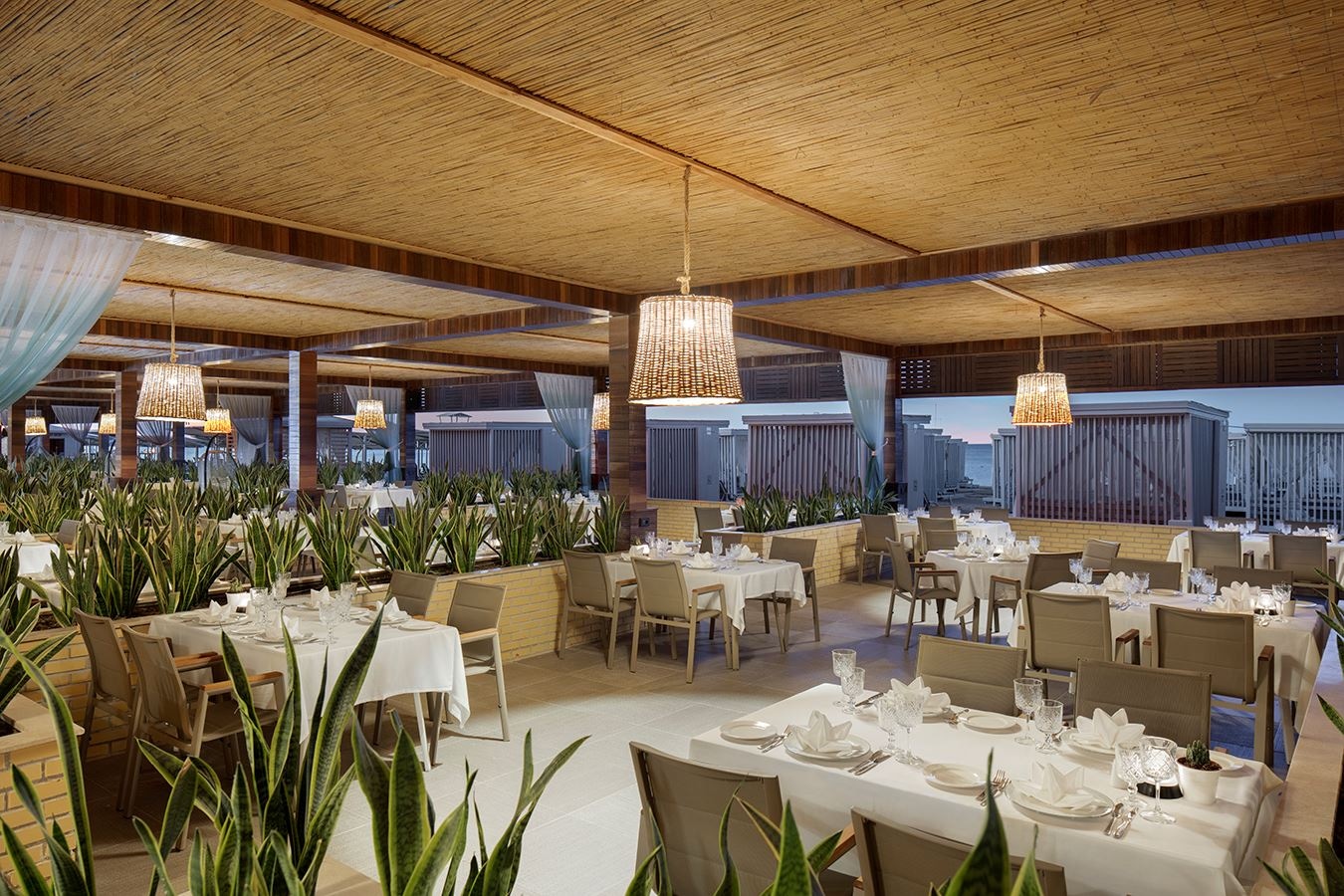 restaurants-the-sea-club