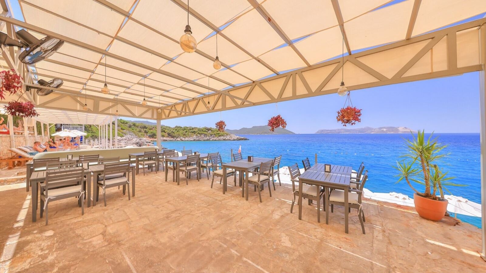 restaurants-restaurants