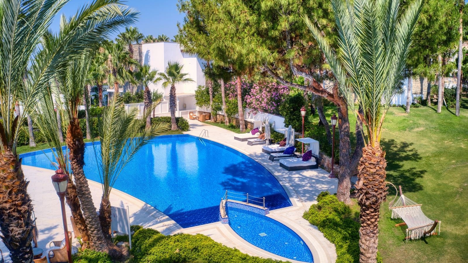 rooms-palm-suites-1+1