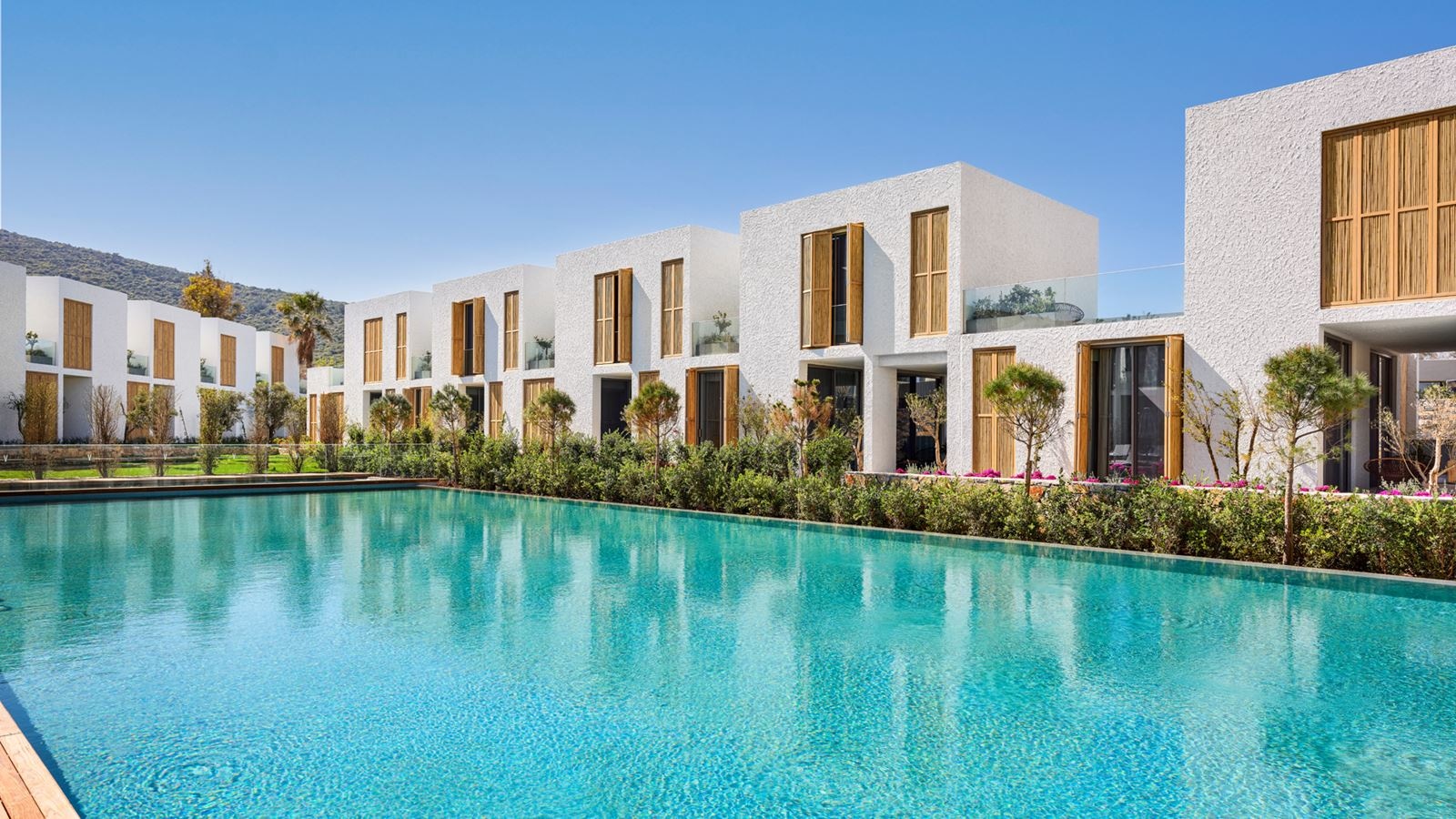 rooms-olive-superior