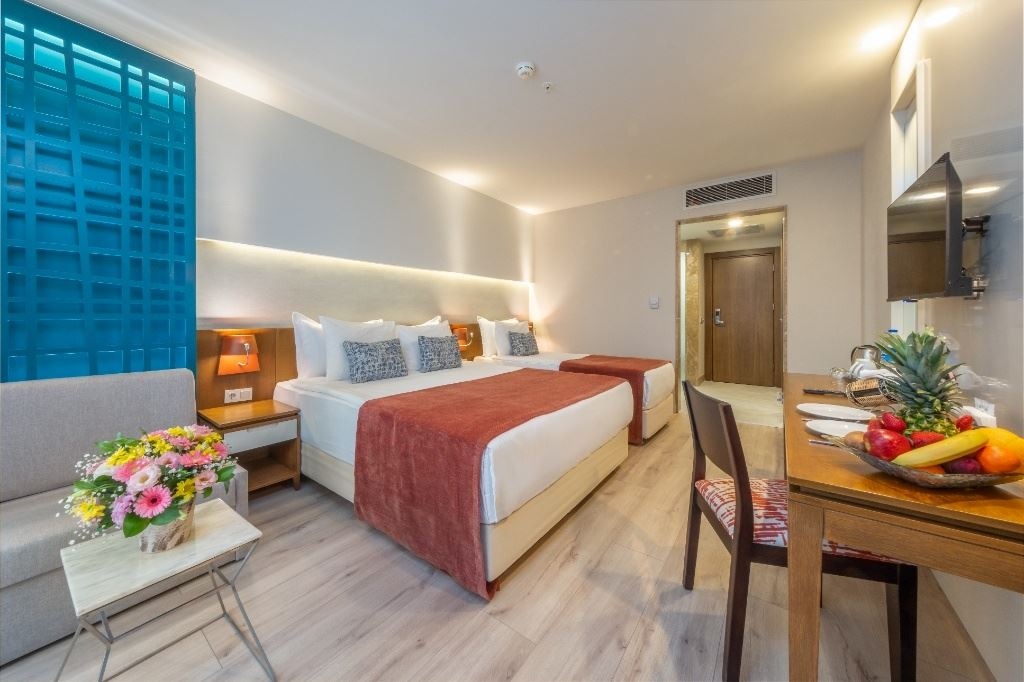 rooms-standard-economy-room-limited-view
