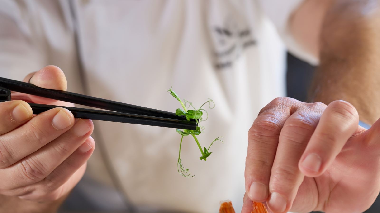 restaurants-restauran