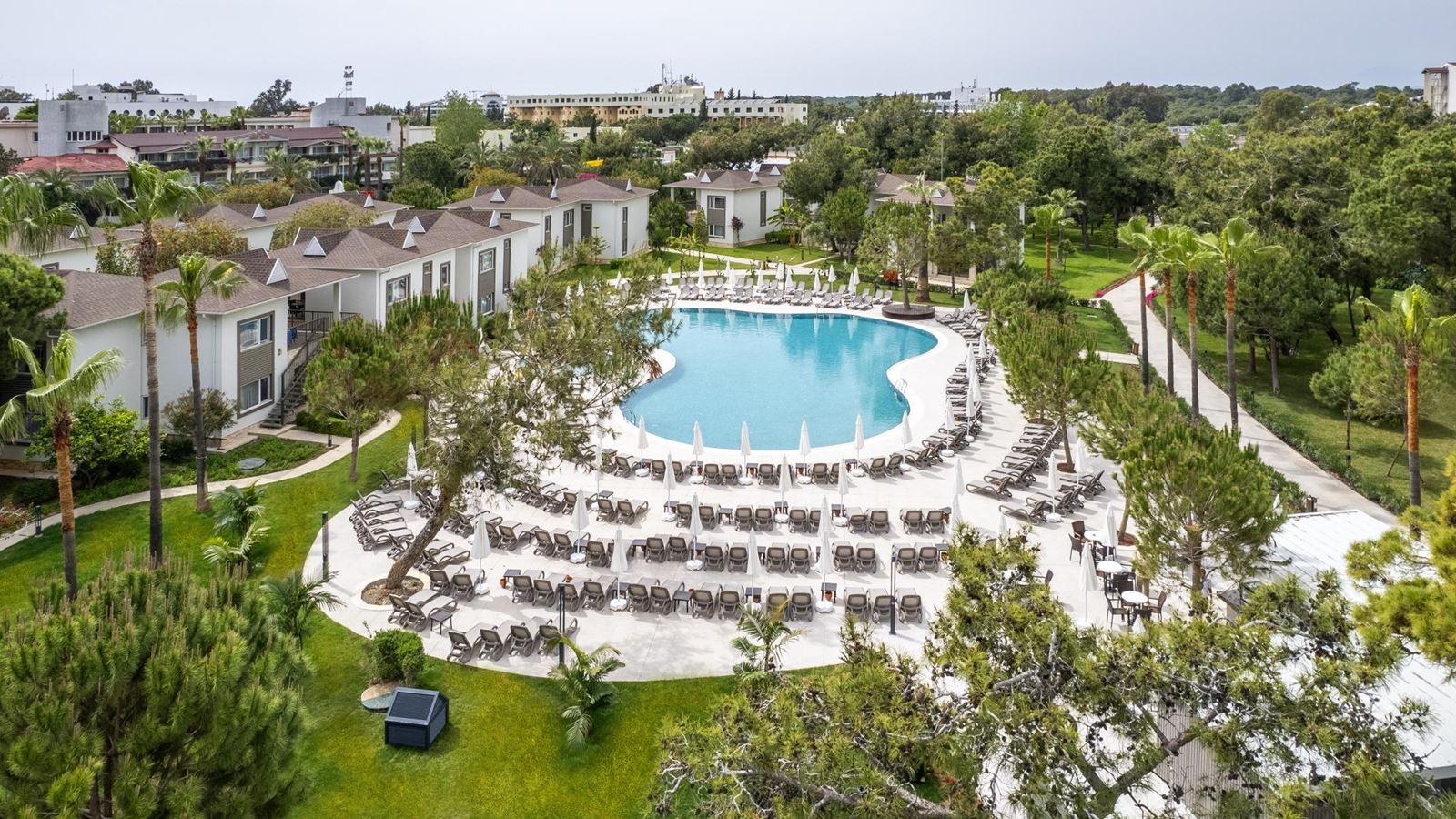 აუზები და SPA-ცენტრი - ღია აუზი