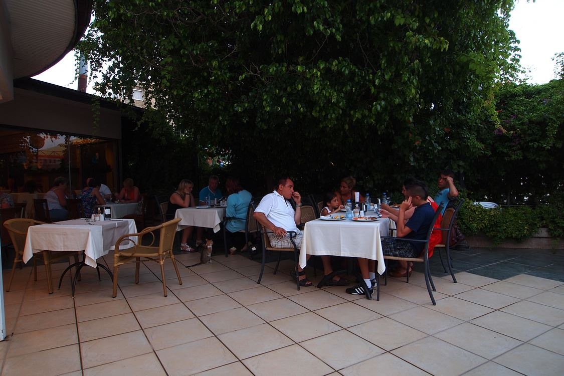 restaurants-main-restaurant