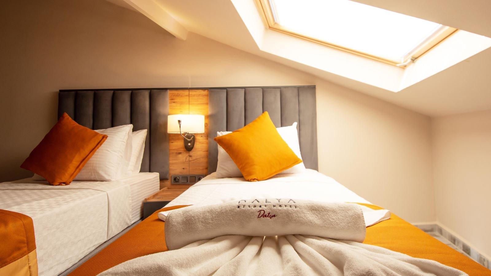 rooms-standard-economy-roof-room