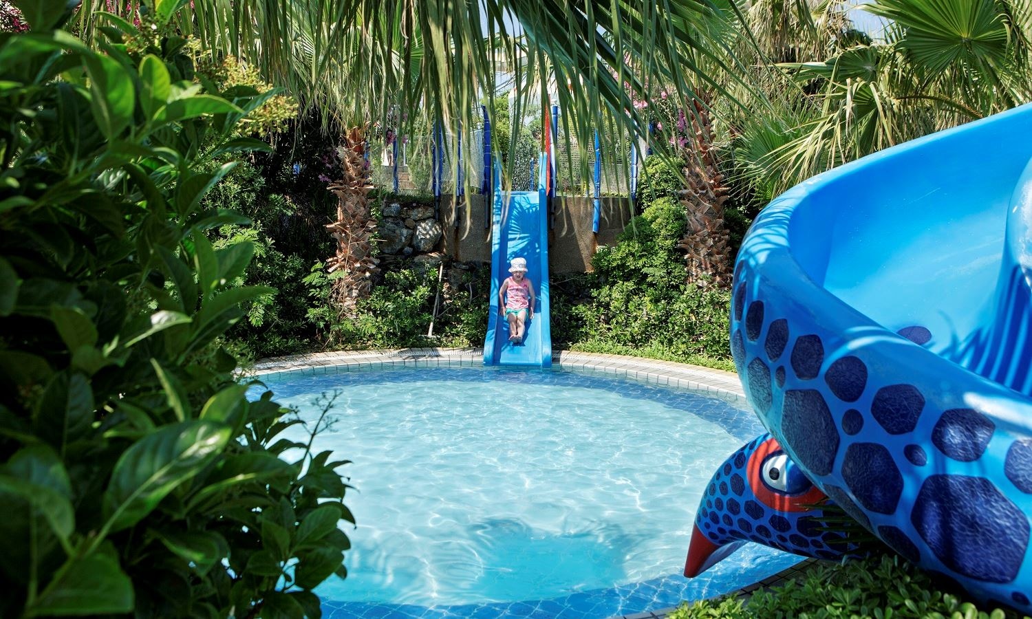 water-park-water-park