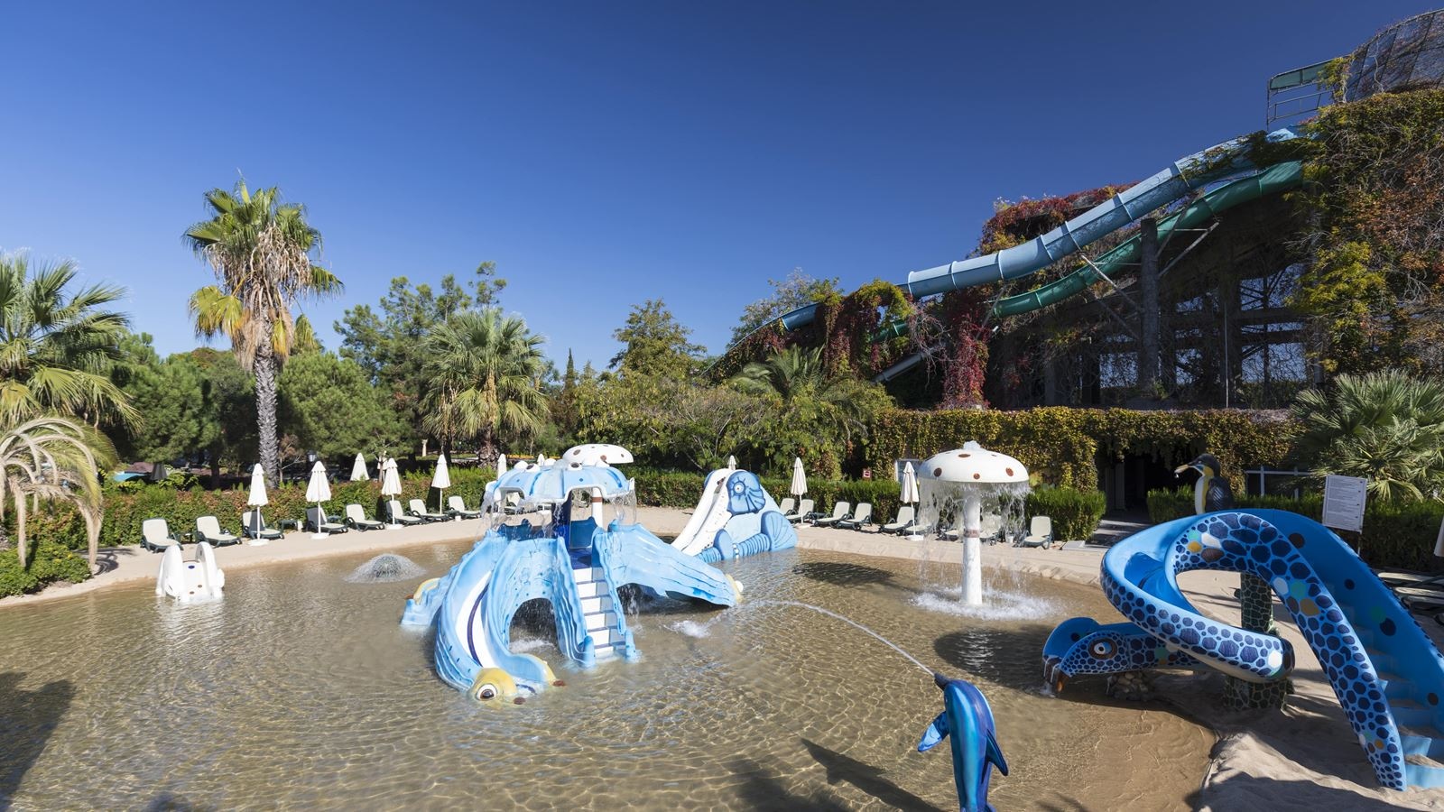 water-park-water-park