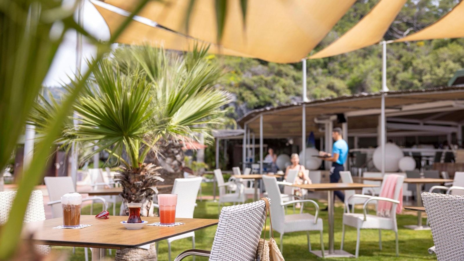 bars-purple--turtle-bar