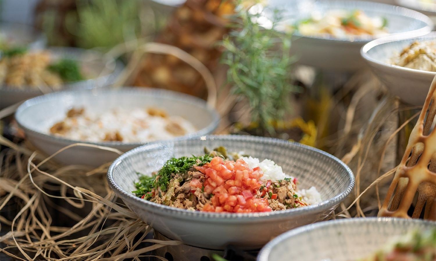 restaurants-sofra-main-restourant