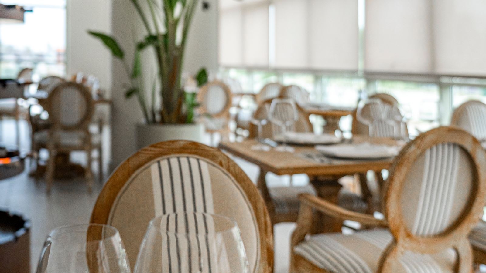 restaurants-frangipani-restoranlounge