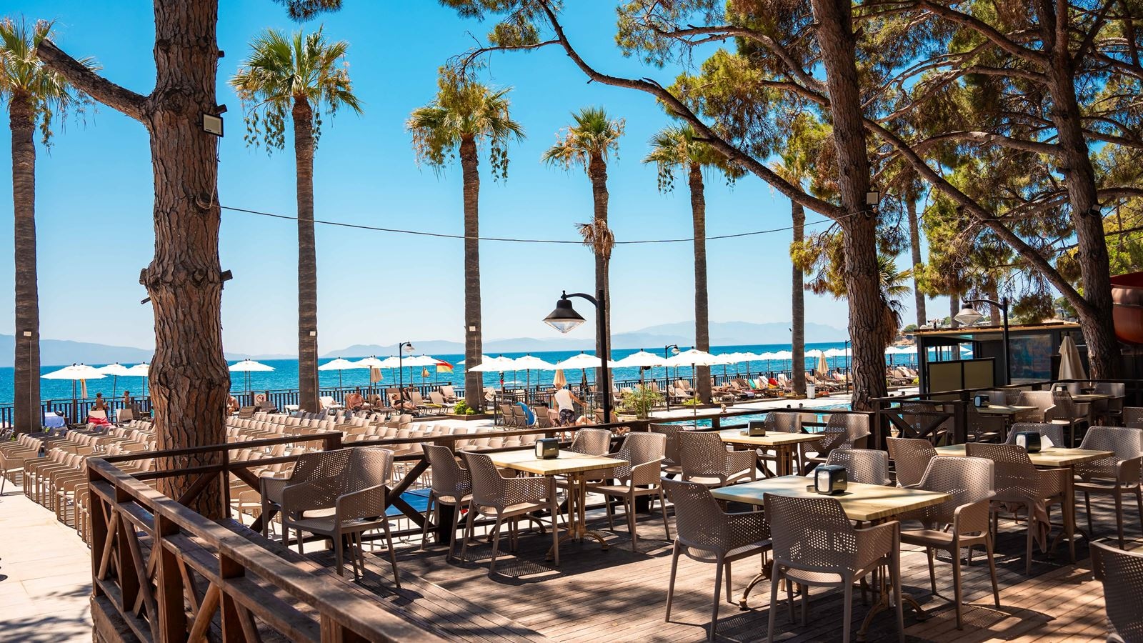 restaurants-polpetta-snacks-restaurant