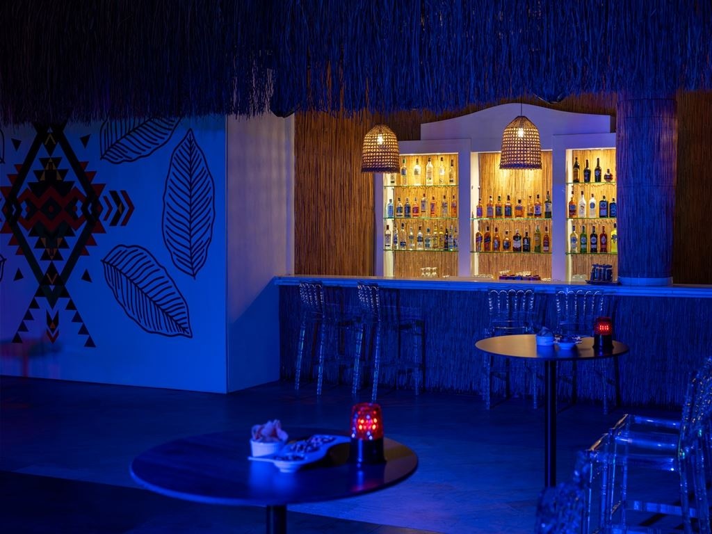 bars-free-zone-disco-bar