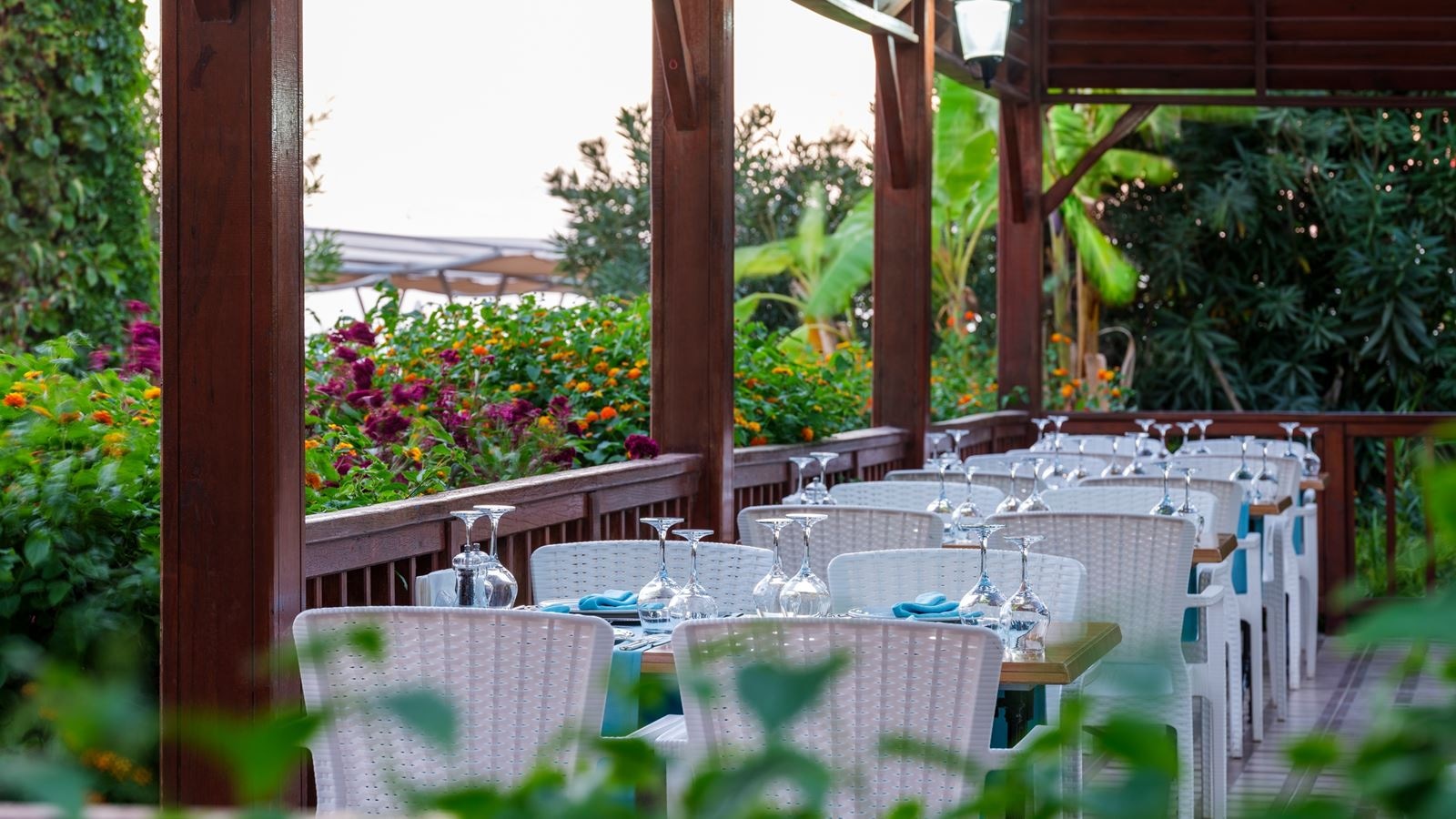 restaurants-roka-a-la-carte