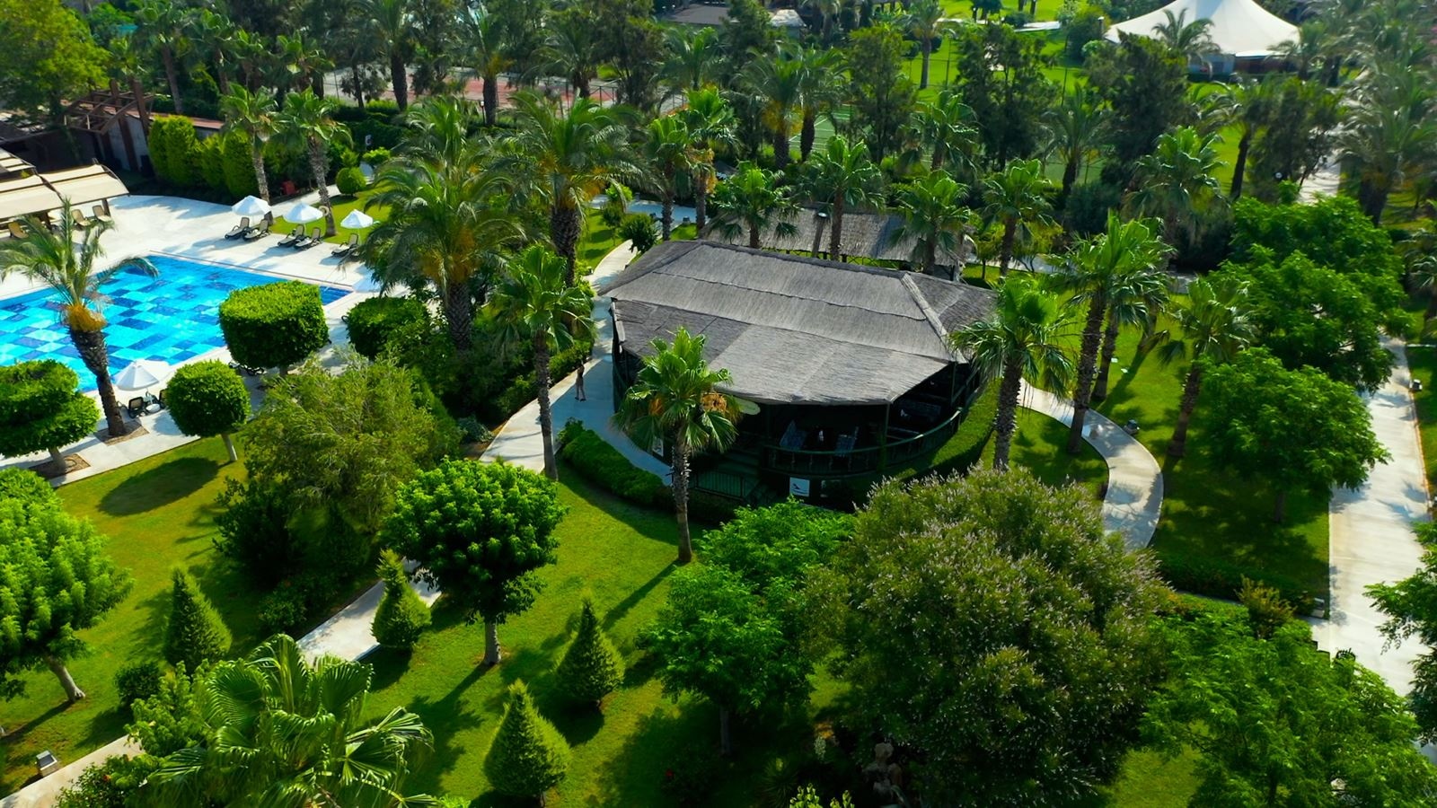 bars-serfood-street-bar