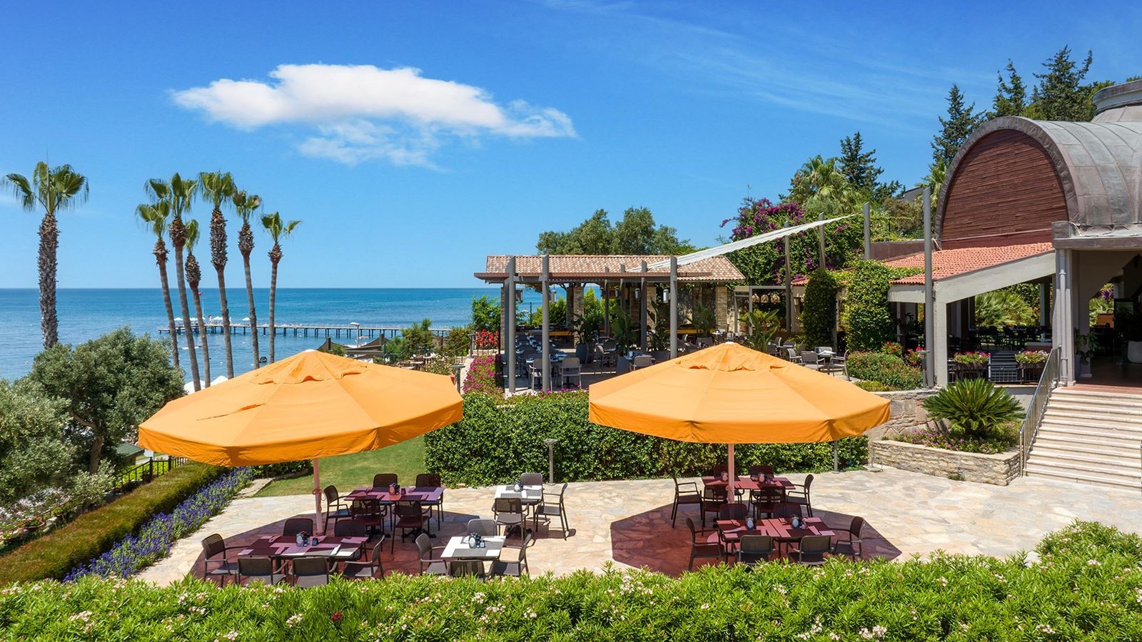 restaurants-bonsai-restaurant