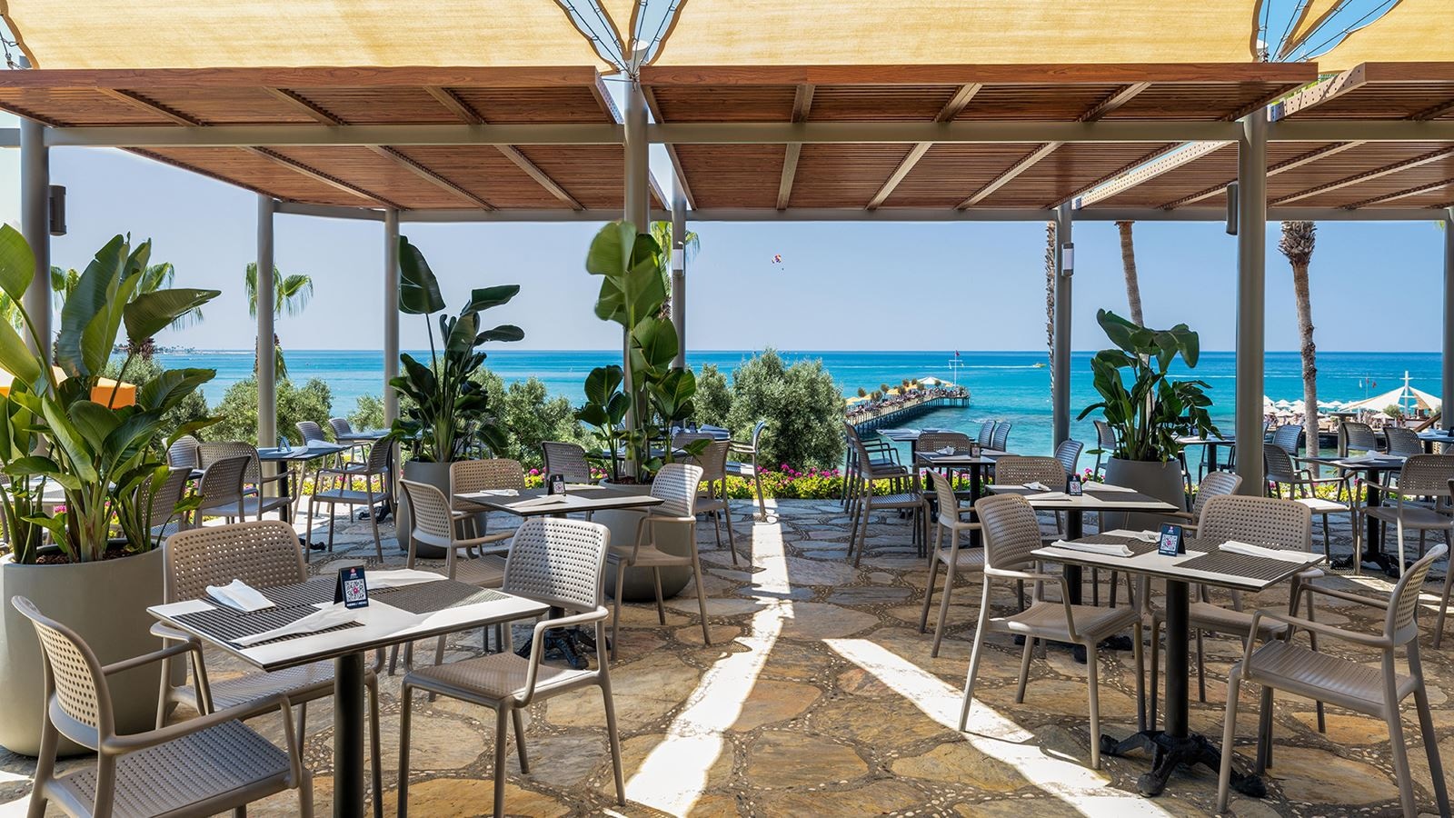 restaurants-bonsai-restaurant