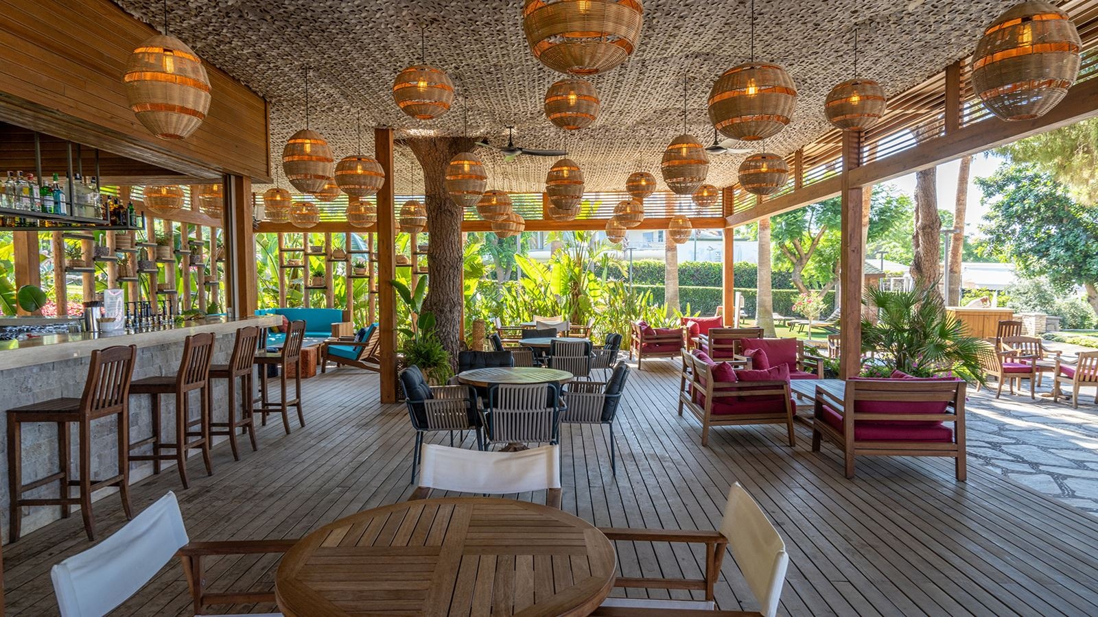 bars-begonya-beach-club