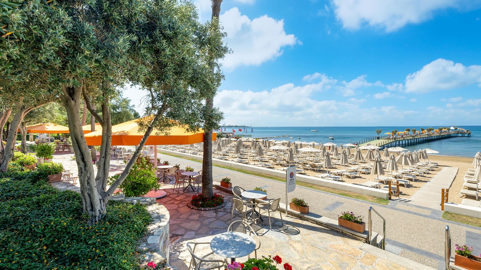 bars-begonya-beach-club