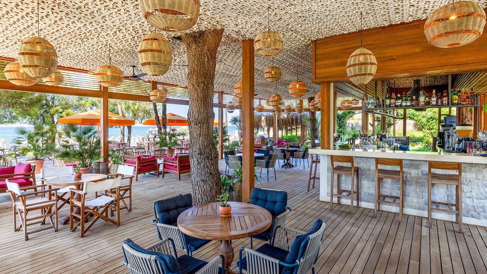 bars-begonya-beach-club