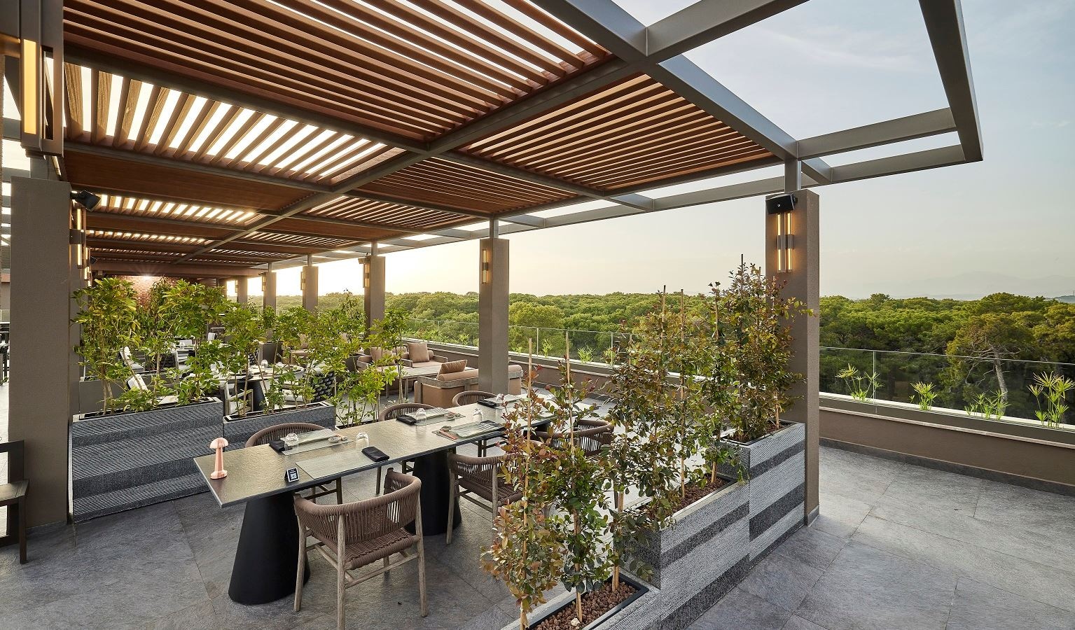 restaurants-terra-izakaya