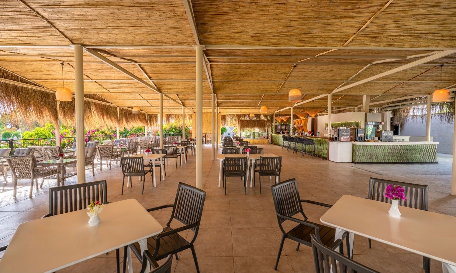 bars-paradiso-cafe-bar