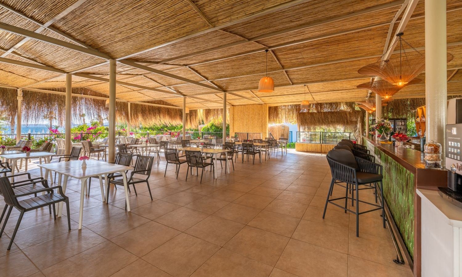 bars-paradiso-cafe-bar