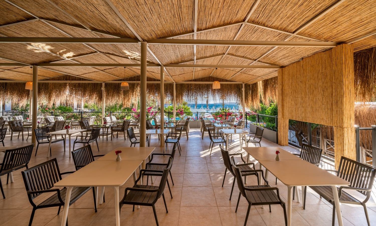 bars-paradiso-cafe-bar