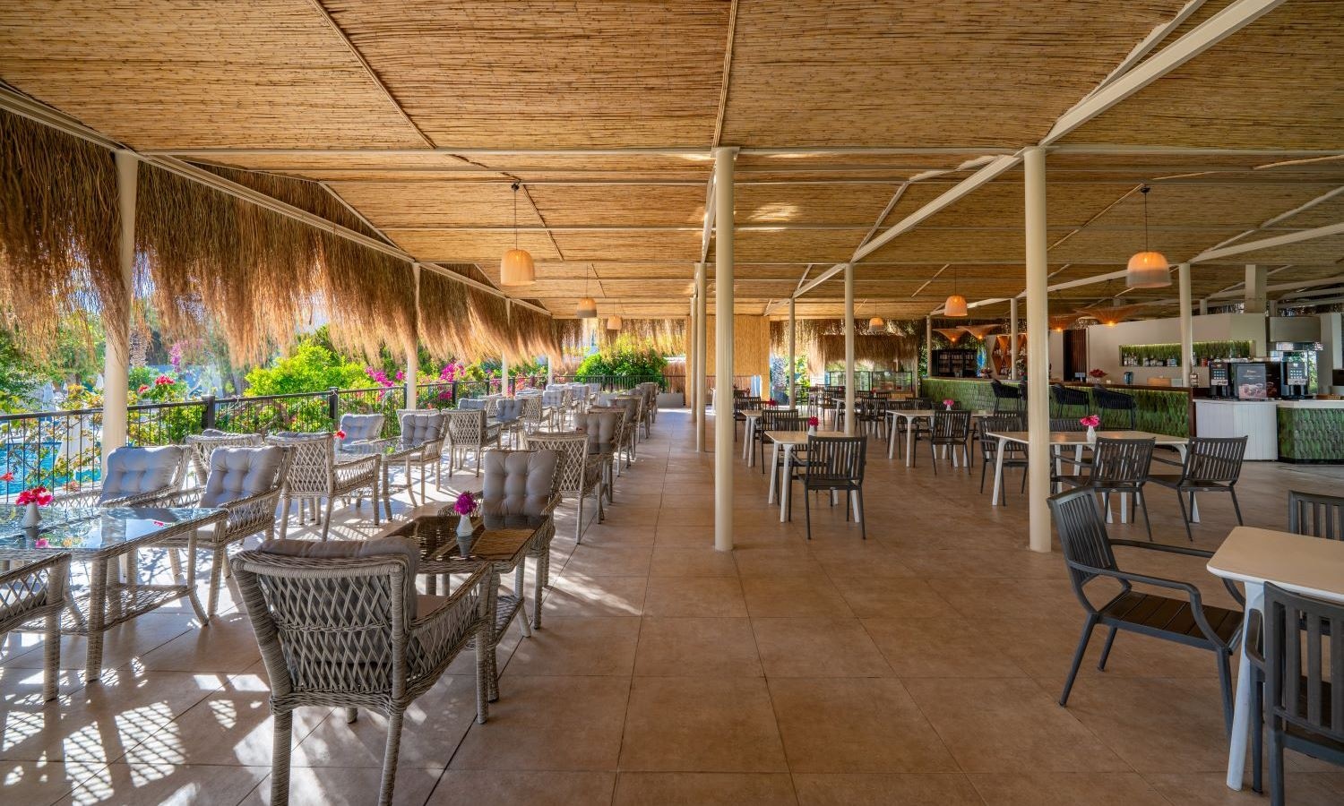 bars-paradiso-cafe-bar