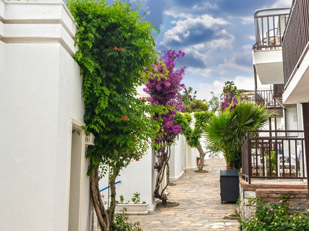 rooms-club-family-room