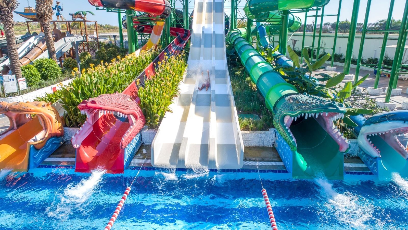 water-park-water-park