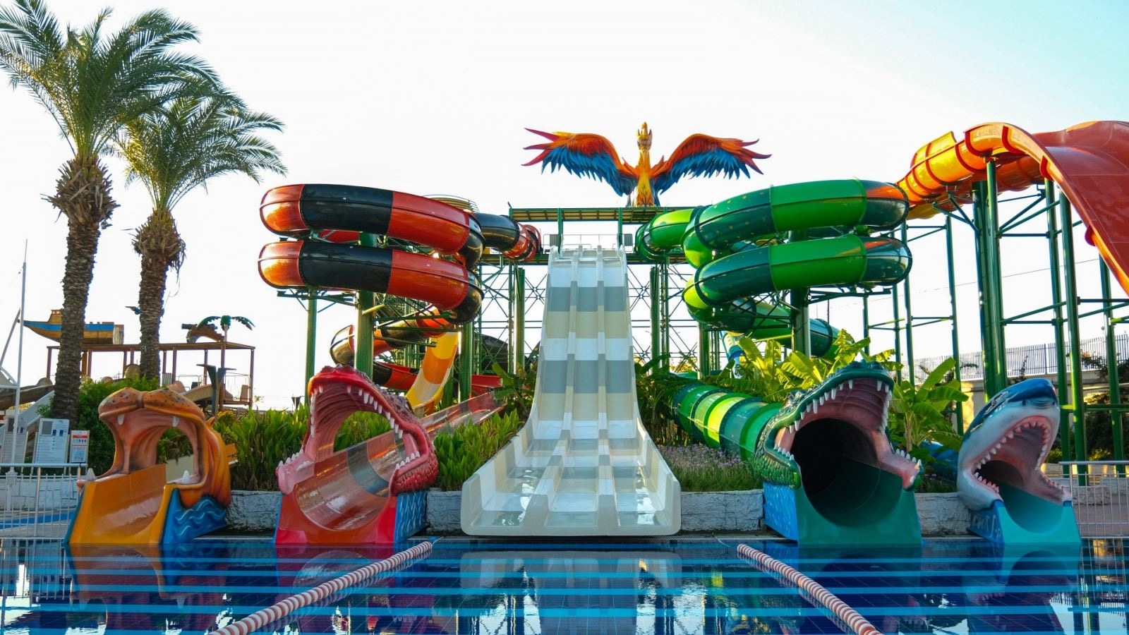 water-park-water-park
