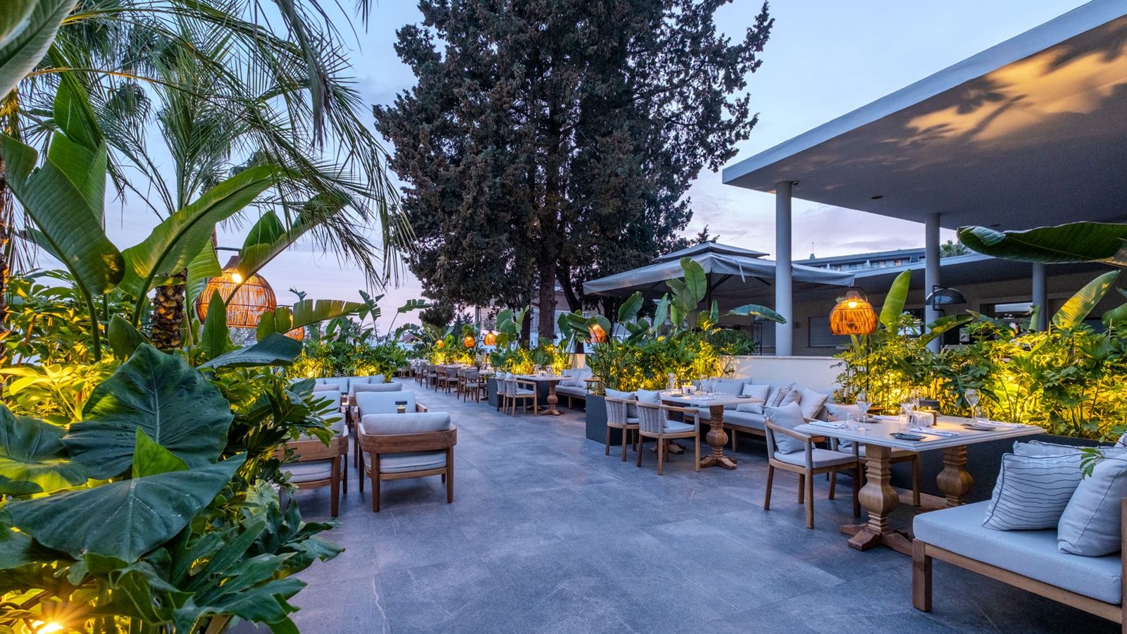 restaurants-olive-italian-a-la-carte-restaurant