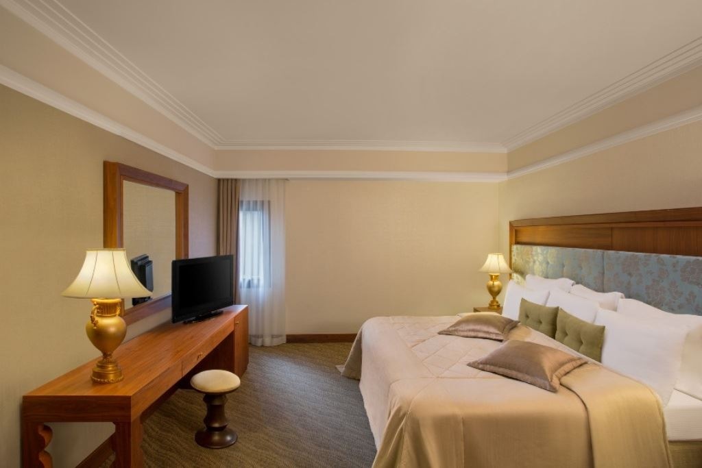 rooms-executive-standard-room