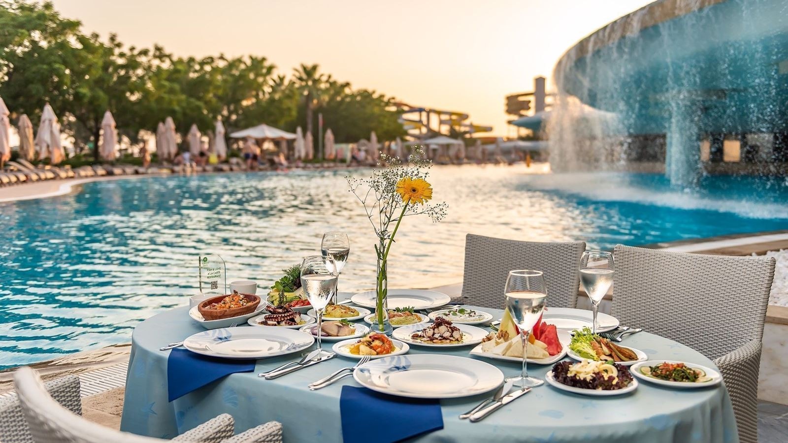 restaurants-fish-and-love