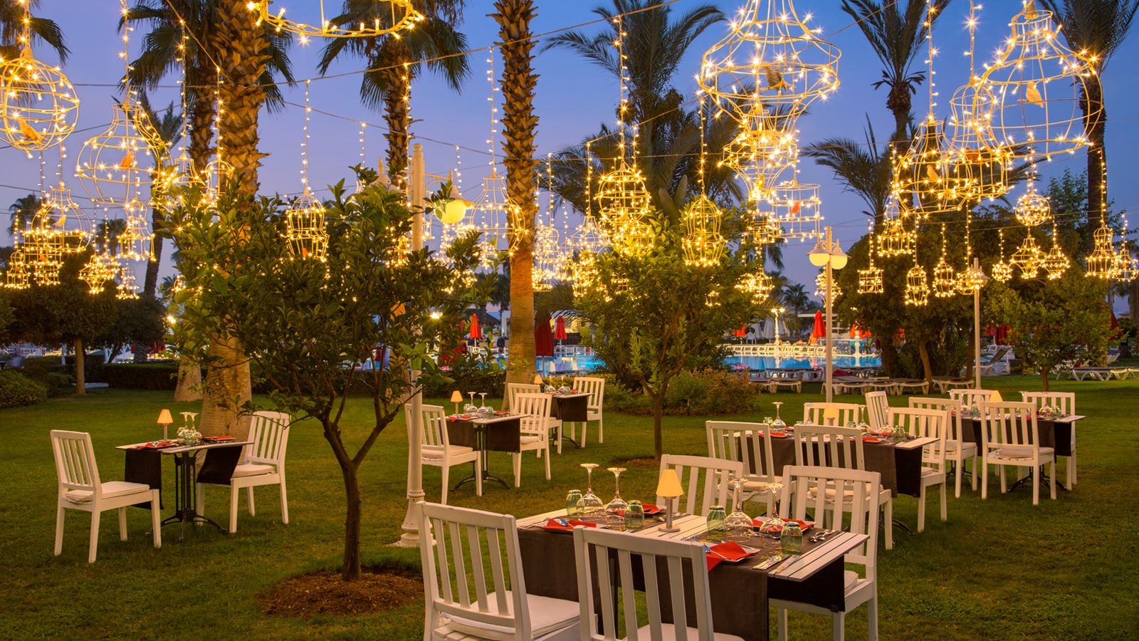 restaurants-umami-sushi-and-asian-cuisine