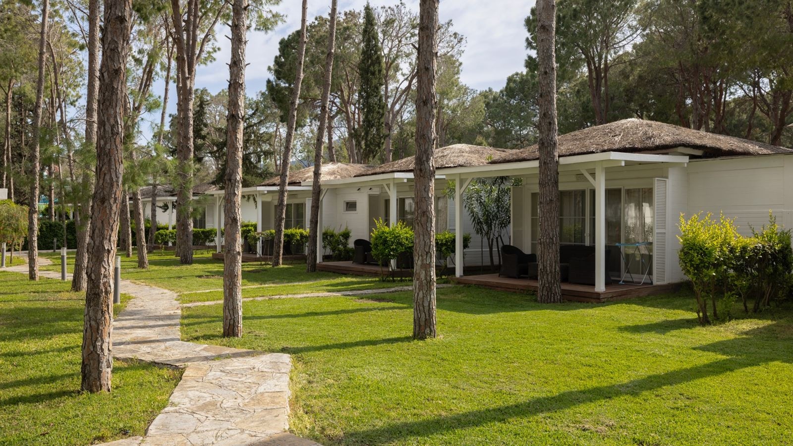 rooms-cedar-house-forest-view