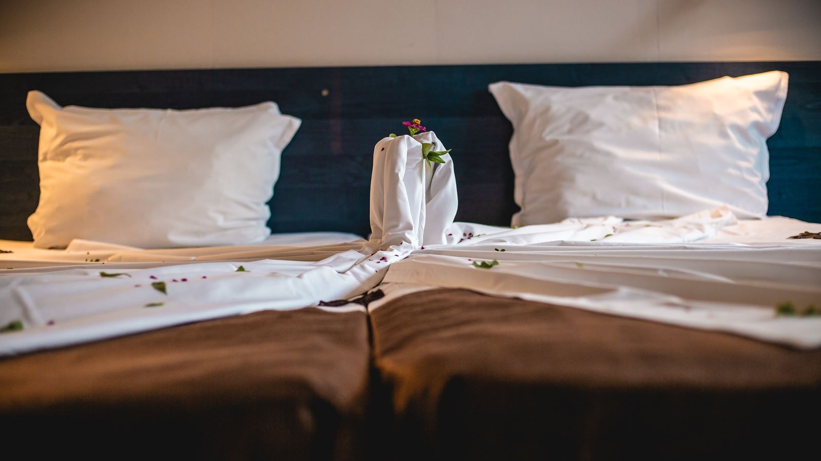 rooms-double-standard