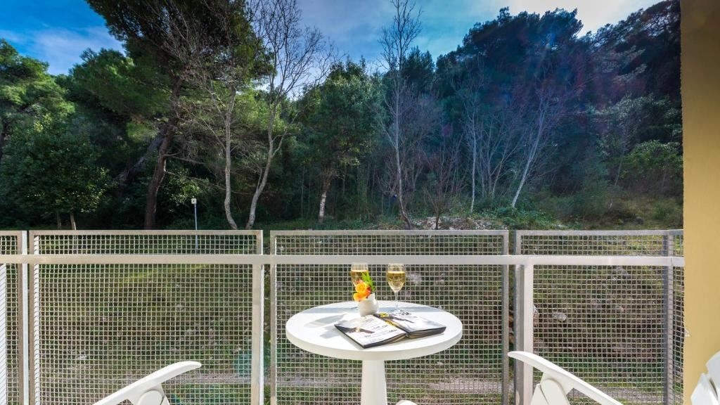 rooms-double-standard-room-park-view-balcony