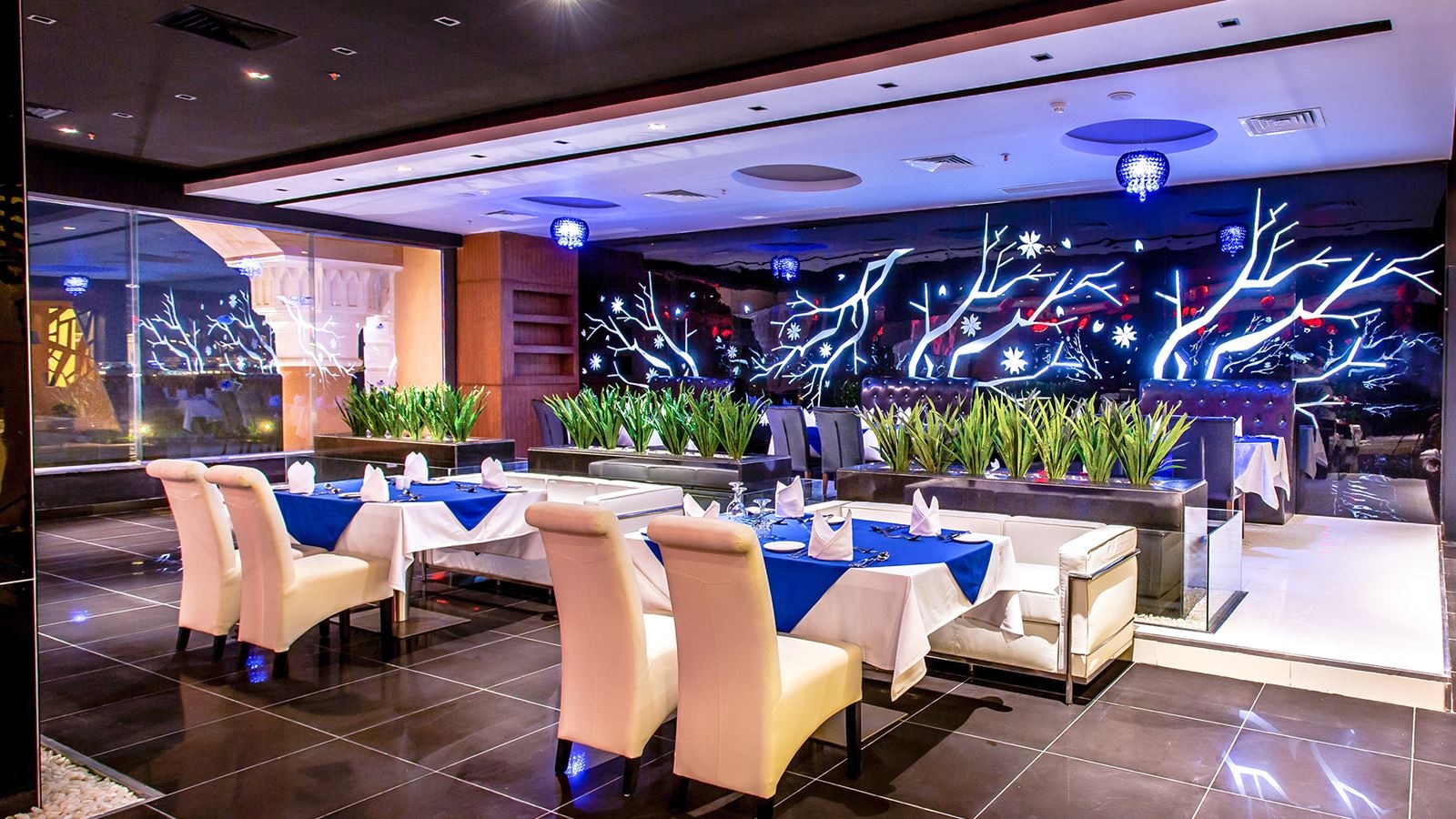 restaurants-mama-mia-italian