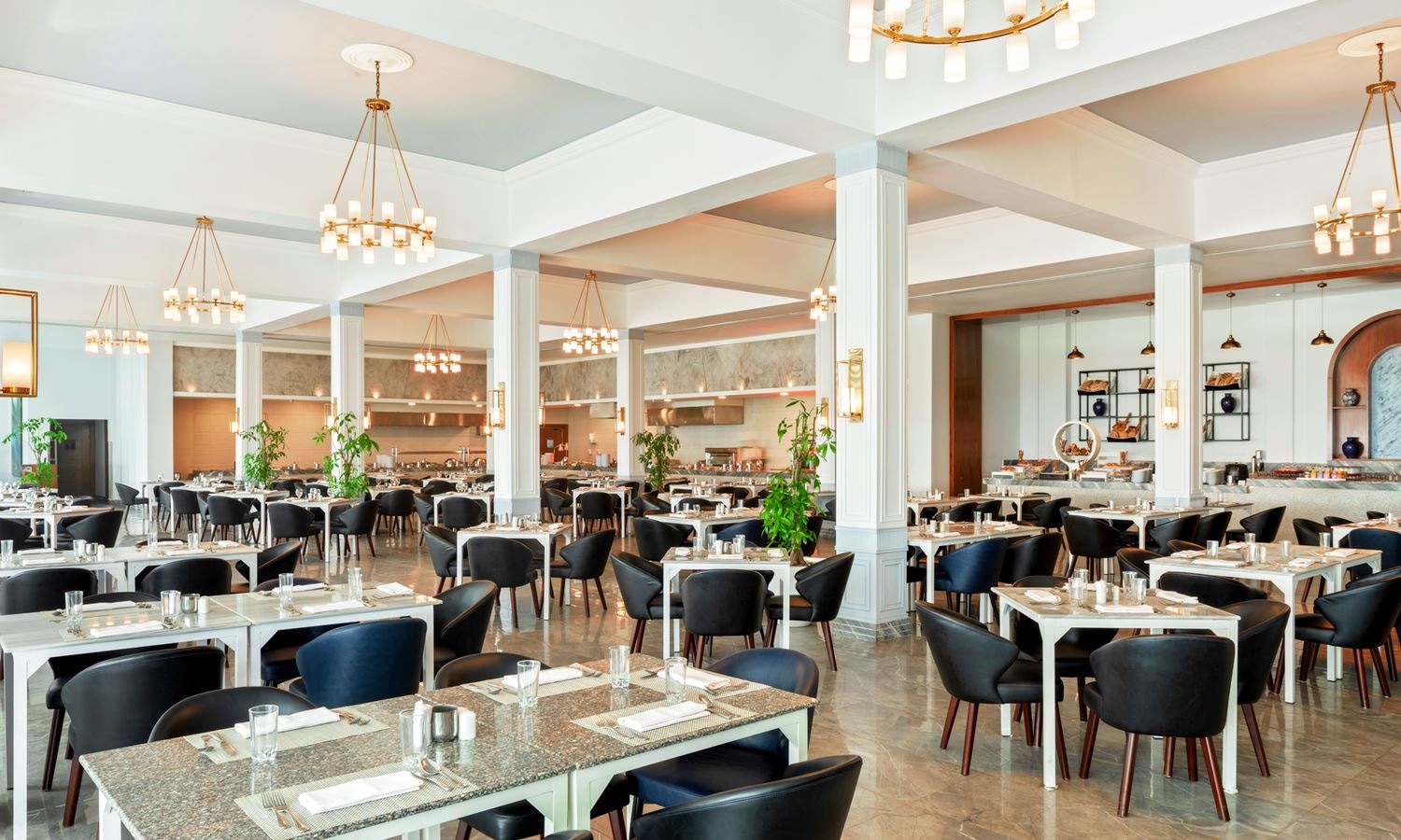 restaurants-alfredo-restaurant