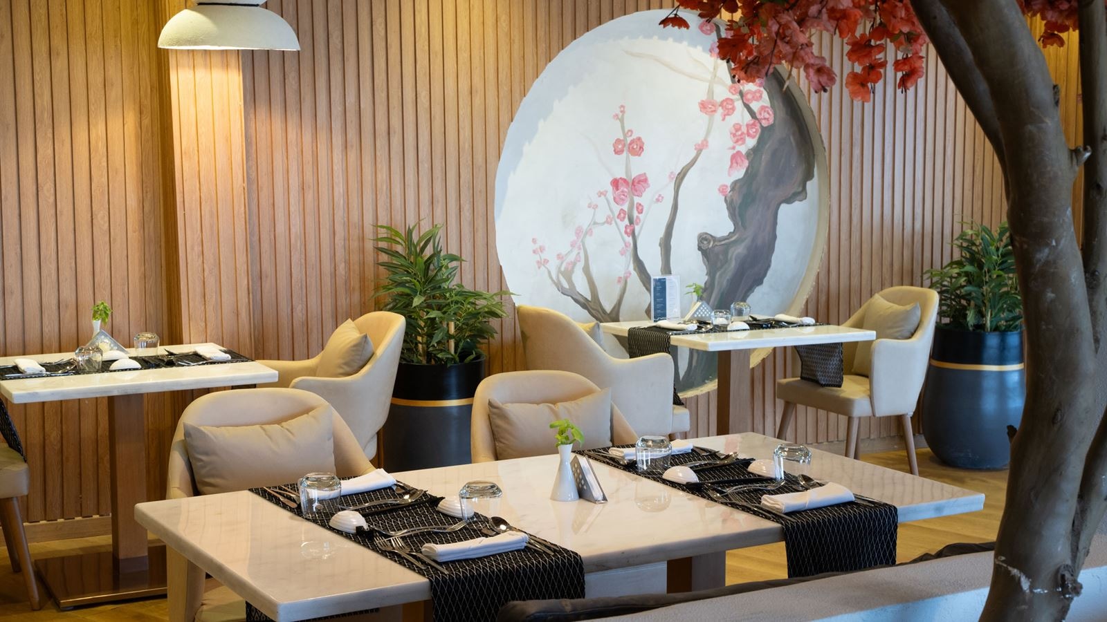 restaurants-nori-asian-cusine--adults-only-+16-years-old