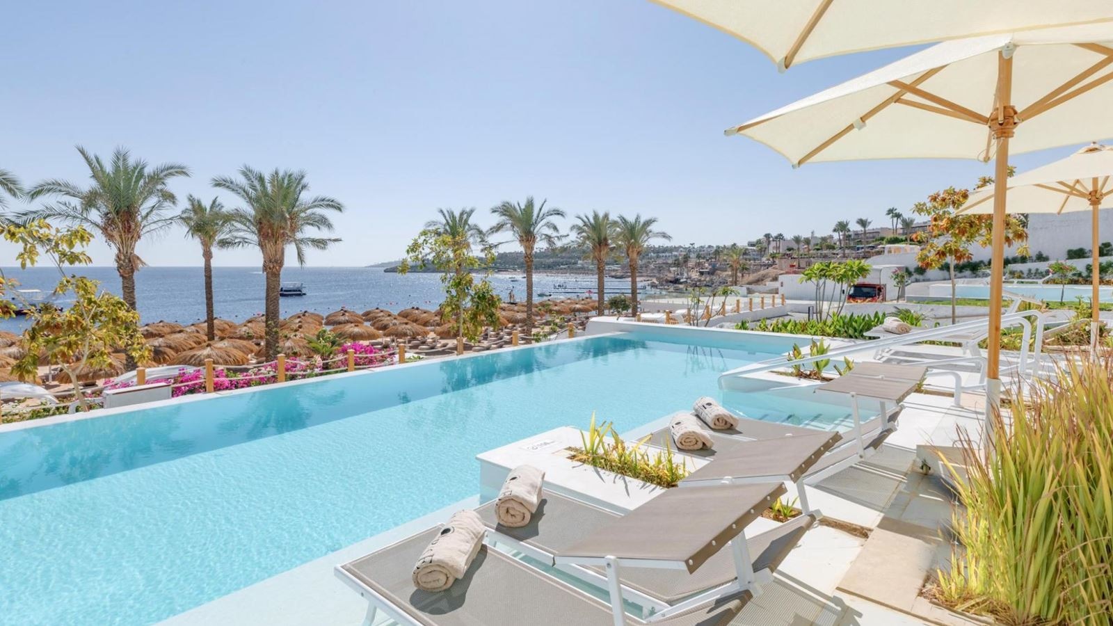 rooms-junior-swim-up-suite